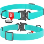 Нашийник для собак Waudog Waterproof водостійкий світлонакопичувальний з QR-паспортом, металева пряжка-фастекс, ментоловий