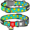Нашийник для собак нейлоновий WAUDOG Nylon з QR-паспортом, малюнок «Смайли на блакитному», пластиковий фастекс, 25 мм (37-58 см)