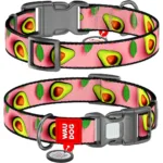 Нашийник для собак нейлоновий WAUDOG Nylon з QR-паспортом, малюнок «Авокадо на рожевому», пластиковий фастекс