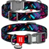 Нашийник для собак нейлоновий WAUDOG Nylon з QR-паспортом, малюнок «Нескінченні світи», пластиковий фастекс