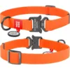 Нашийник для собак Waudog Waterproof водостійкий з QR-паспортом, металева пряжка-фастекс, помаранчевий