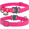 Нашийник для собак Waudog Waterproof водостійкий з QR-паспортом, металева пряжка-фастекс, рожевий