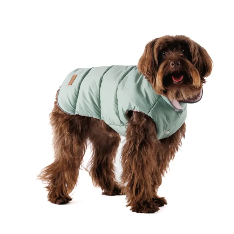 Жилет двобічний Pet Fashion Holiday для собак