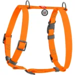 Шлея для собак водостійка анатомічна Н-подібна WAUDOG Waterproof з QR-паспортом, помаранчева