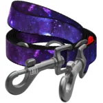 Повідець-перестібка для собак WAUDOG Nylon, малюнок "NASA21", розмір M, 300 см, 20 мм