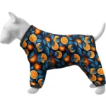 Вітровка WAUDOG Clothes Апельсини для собак