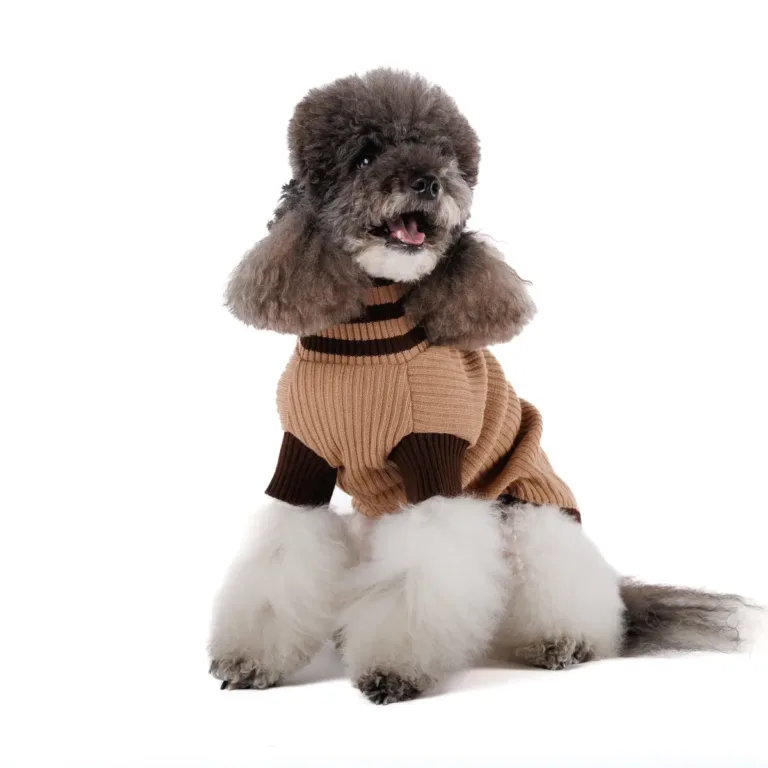 Светр Pet Fashion Rob для собак, бежевий