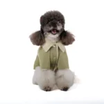 Дублянка Pet Fashion Olive для собак