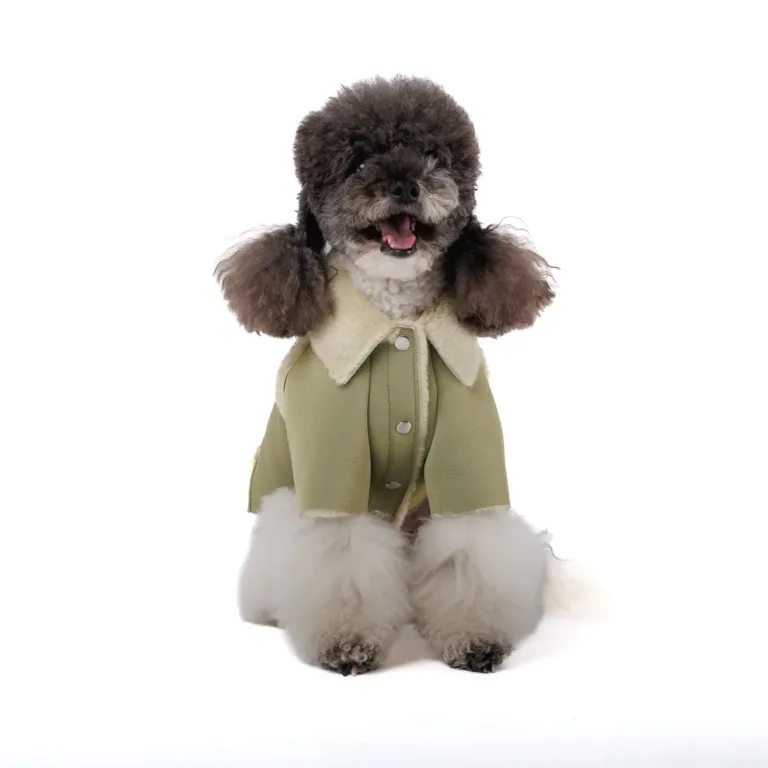 Дублянка Pet Fashion Olive для собак