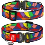 Нашийник для собак нейлоновий WAUDOG Nylon з QR-паспортом, малюнок «Вітраж», металевий фастекс, 35 мм (46-70 см), розмір XXL