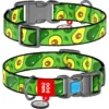 Нашийник для собак нейлоновий WAUDOG Nylon з QR-паспортом, малюнок «Авокадо», пластиковий фастекс