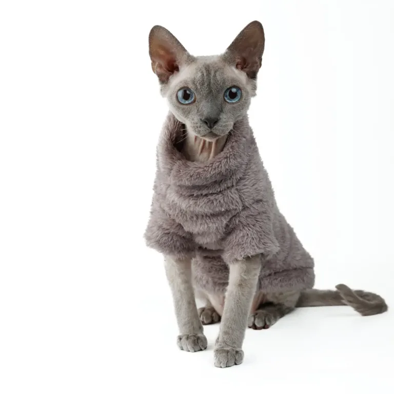 Светр для котів Pet Fashion Tim, сірий