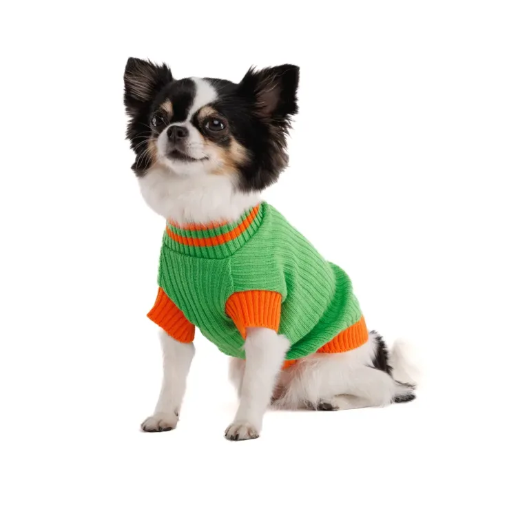 Светр Pet Fashion Rob для собак, зелений