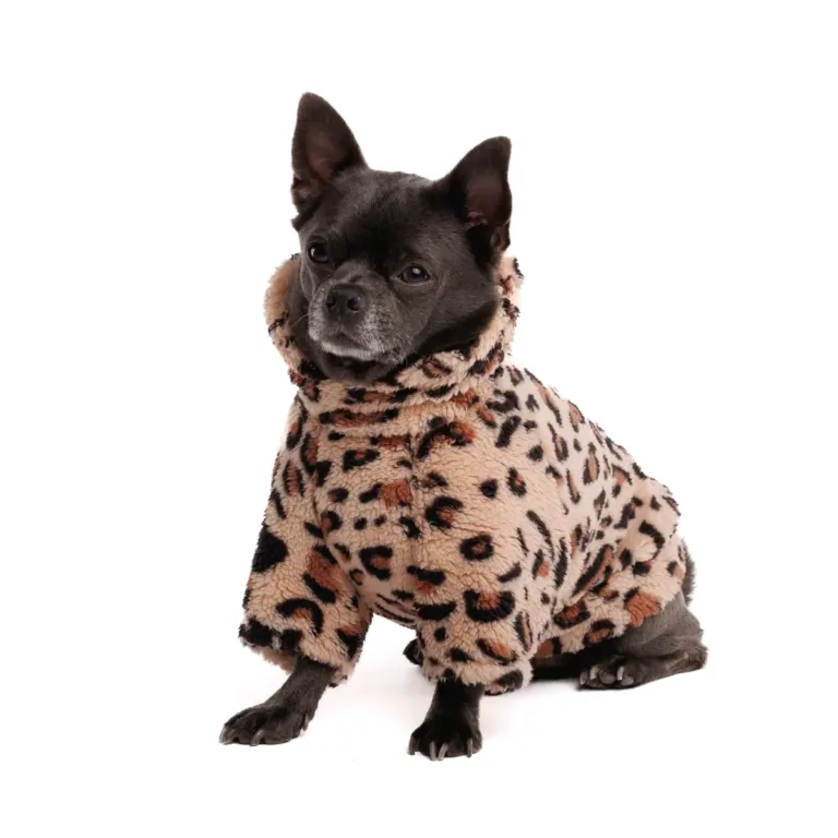 Толстовка Pet Fashion Push для собак