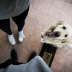 hero 47