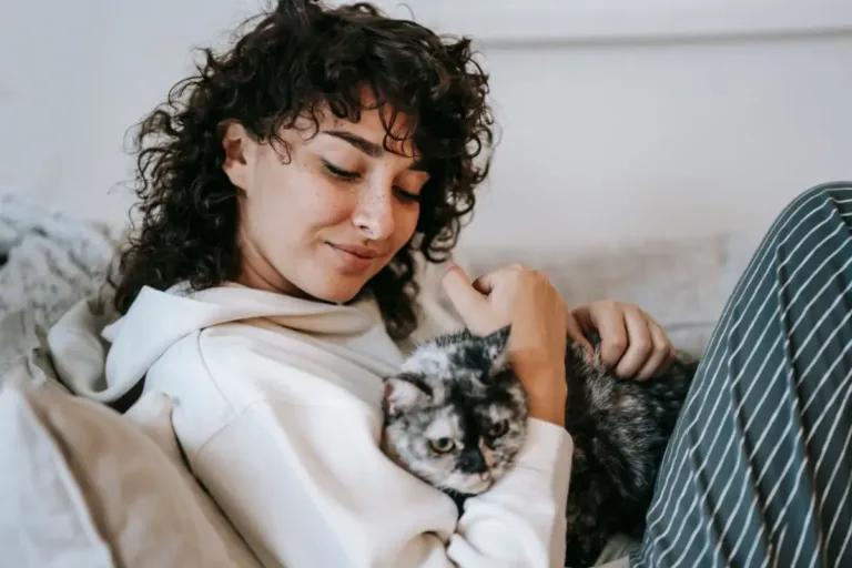 Звідки у домашнього кота блохи: 6 шляхів
