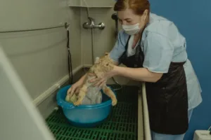 hero 9
