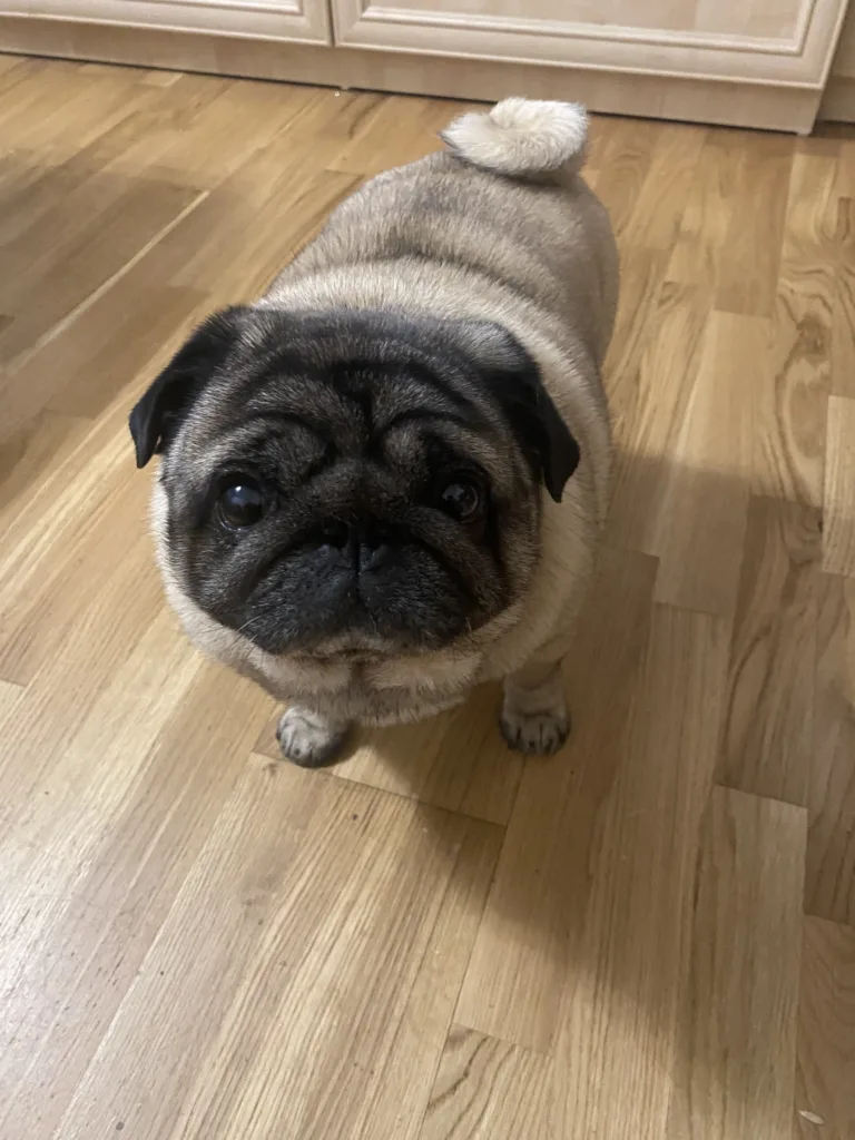 Зображення #1 від Ронні