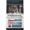 ProScience Adult Cat Salmon Сухий корм для дорослих котів для шкіри та шерсті, з лососем
