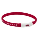 Нашийник AnimAll LED з підсвічуванням і USB-зарядкою для собак, червоний