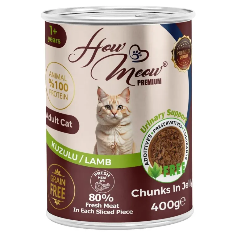 Вологий корм HowMeow для дорослих котів з ягням у соусі, 400 г