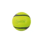 Іграшка Chuckit! Sniff Fetch Ball м'яч з ароматом арахісової пасти для середніх собак