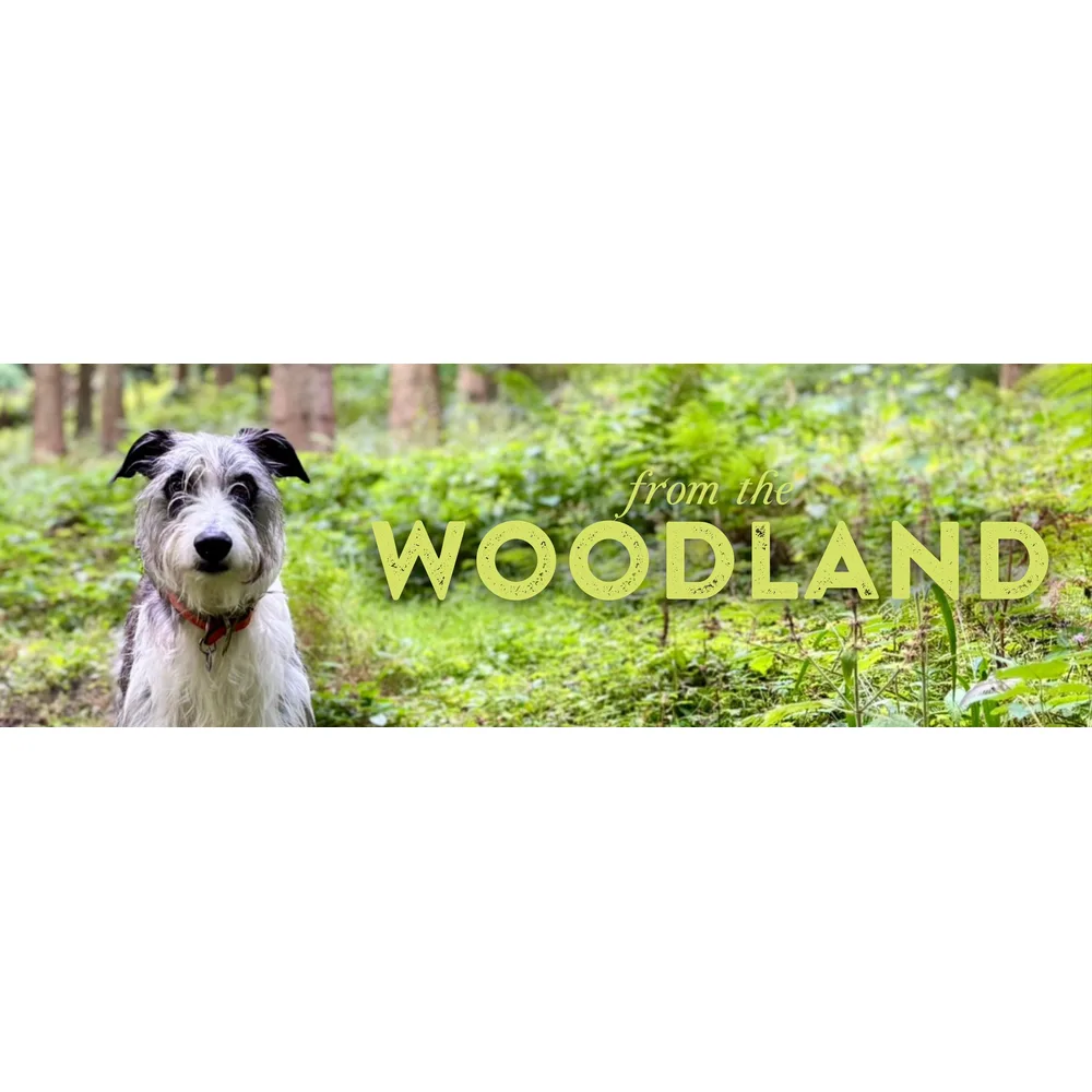 Сушений на повітрі корм The Innocent Hound From The Woodland з британською олениною