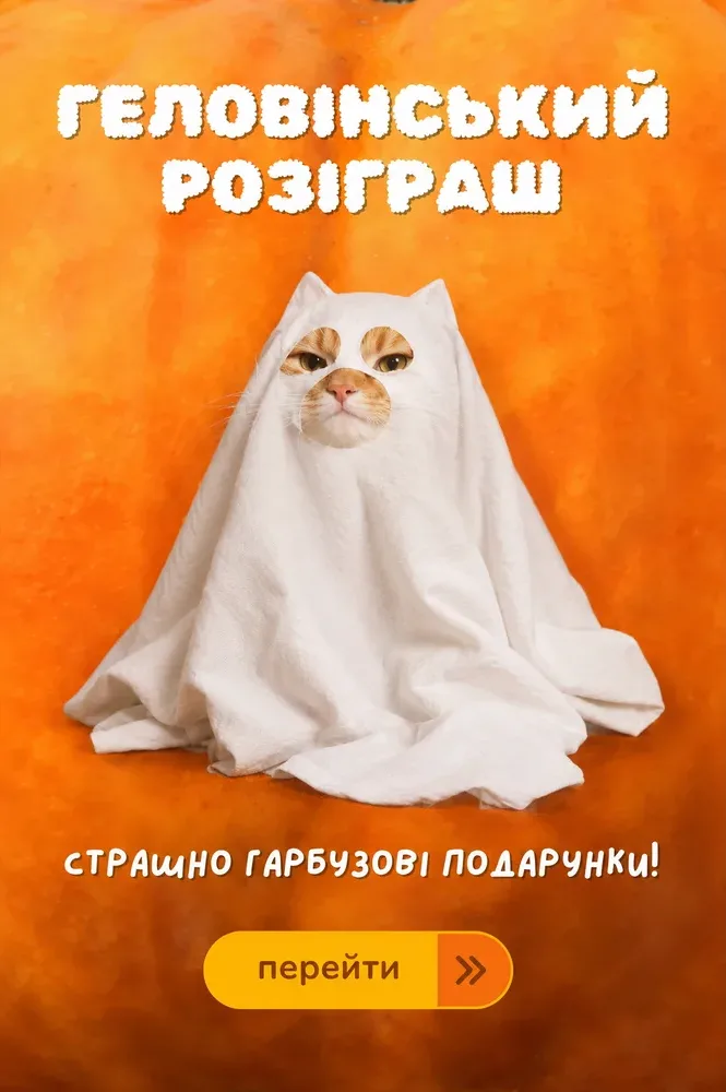 AmigoVet