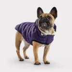 Парка для собак GF PET Cloud, фіолетова