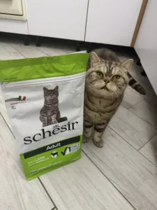 Фото з відгуку: Сухий корм Schesir для дорослих котів з ягням