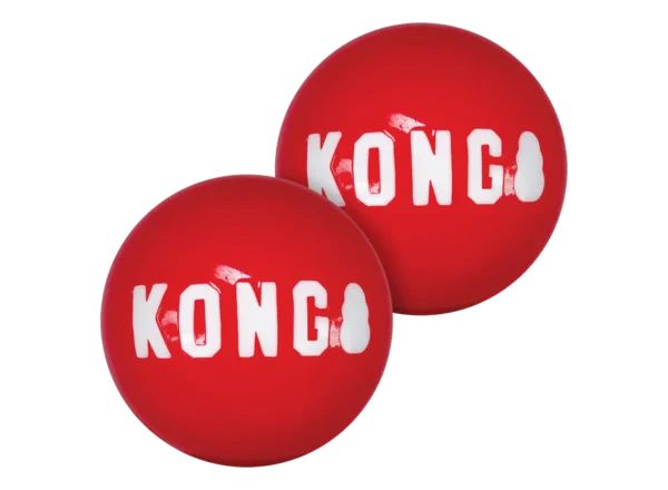 Набір м'ячиків для собак KONG Signature Balls, L, 2 шт dog balls 1