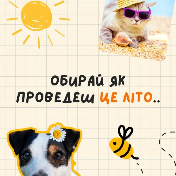 А які плани у тебе на це літо? Гортай та шукай себе з улюбленцем