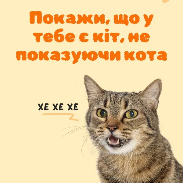 А яку “шкоду” робили ваші муркотуни? Діліться в коментарях!