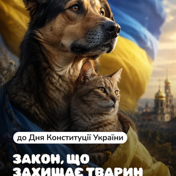 Вони заслуговують на захист та безпечне життя! Закон України «Про захист тварин від жорстокого поводження”, це офіційни