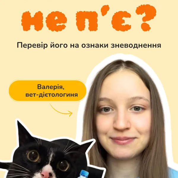 Зоомагазин AmigoVet.net Київ - купити зоотовари в Україні 79 Щипни кота, щоб врятувати йому життя! Як це працює? Розповідаємо у цьому відео