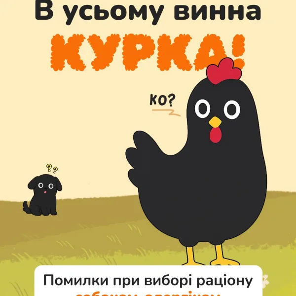 Зоомагазин AmigoVet.net Київ - купити зоотовари в Україні 54 Постійні помилки в підборі раціону призводять до нових проблем зі здоров’ям улюбленця Але цього можна уникнути завчасно