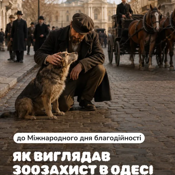 Поділись цим дописом з друзями. Нехай якомога більше людей дізнаються, що український зоозахист має таку глибоку, сильну