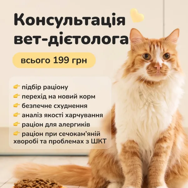 Консультація з вет-дієтологом AmigoVet Професійна допомога у питаннях раціону улюбленців! З якими питаннями допомо