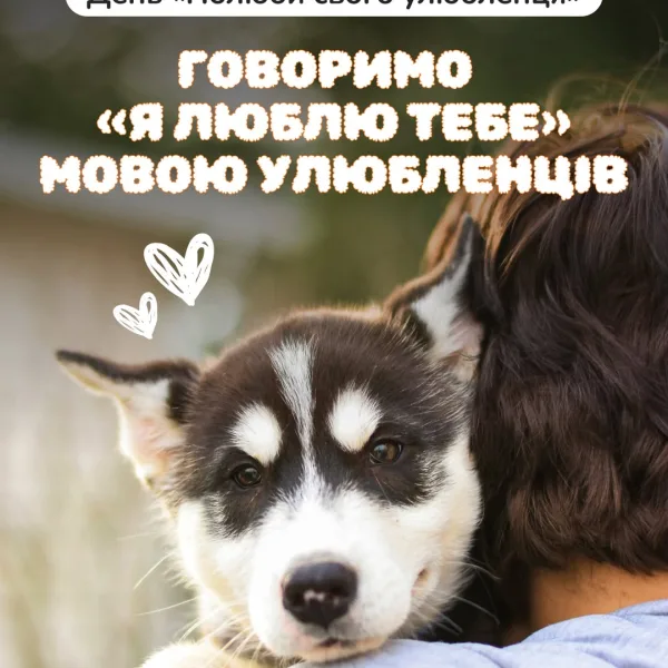 А якою мовою любові говориш ти до свого улюбленця? Своєю: обійми, поцілунки, пестливі слова. Чи його? Про мову любові в