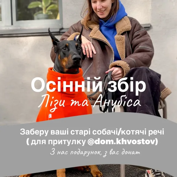 Осінній збір Лізи та Анубіса для притулку @stasia_tihaia @dom.khvostov Анастасія часто приймає заявки на рятування хв