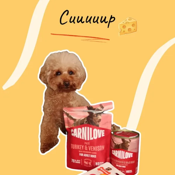 Жувальна суперміцна іграшка зі смаком сиру-у-у-у Nylabone Extreme Chew Cheese Bone Витримує навіть інтенсивне гризі