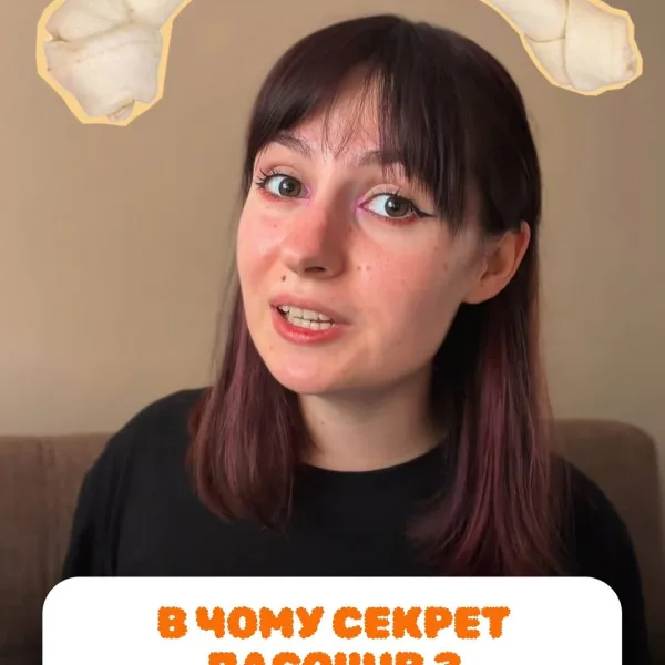 Гризунці, це улюблений вид ласощів песиків та їх пет-перентів. Чому? Собака задовільняє свою природну потребу гризти;