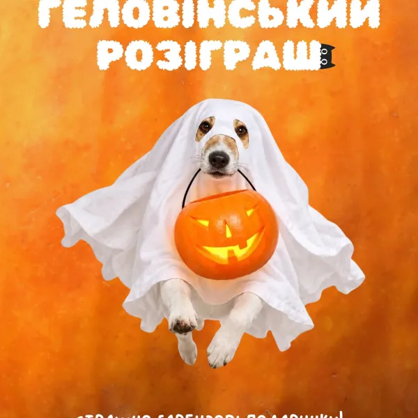 Буууу AmigoVet влаштував розіграш до Геловіну! Два бокси з гарбузовими ласощами та Геловінською іграшкою для двох перем